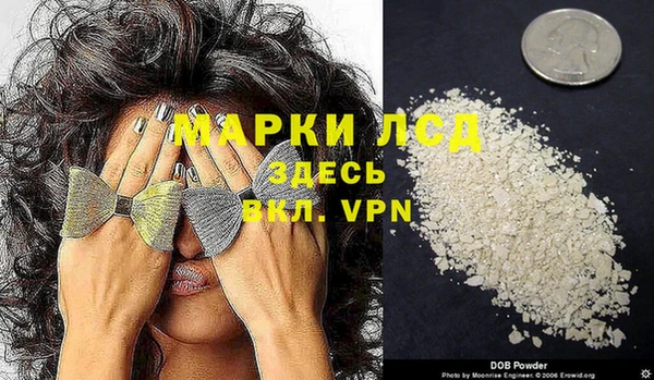 спайс Алзамай