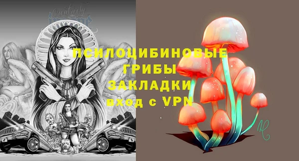 спайс Алзамай